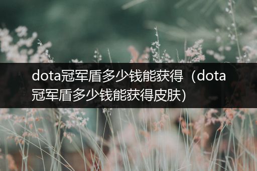 dota冠军盾多少钱能获得（dota冠军盾多少钱能获得皮肤）