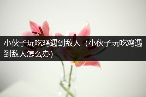 小伙子玩吃鸡遇到敌人（小伙子玩吃鸡遇到敌人怎么办）