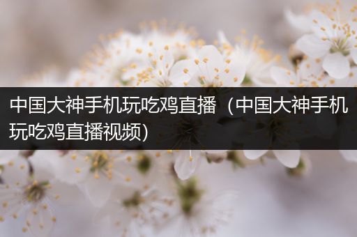 中国大神手机玩吃鸡直播（中国大神手机玩吃鸡直播视频）
