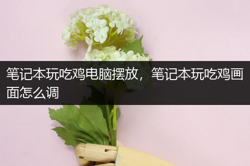笔记本玩吃鸡电脑摆放，笔记本玩吃鸡画面怎么调