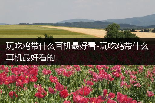 玩吃鸡带什么耳机最好看-玩吃鸡带什么耳机最好看的