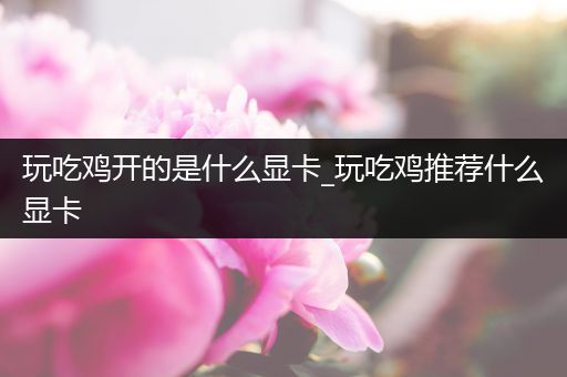 玩吃鸡开的是什么显卡_玩吃鸡推荐什么显卡