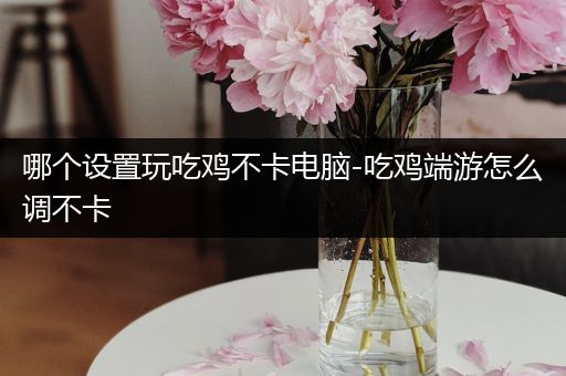 哪个设置玩吃鸡不卡电脑-吃鸡端游怎么调不卡