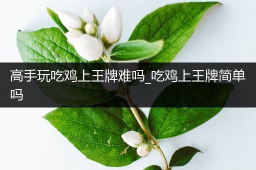 高手玩吃鸡上王牌难吗_吃鸡上王牌简单吗