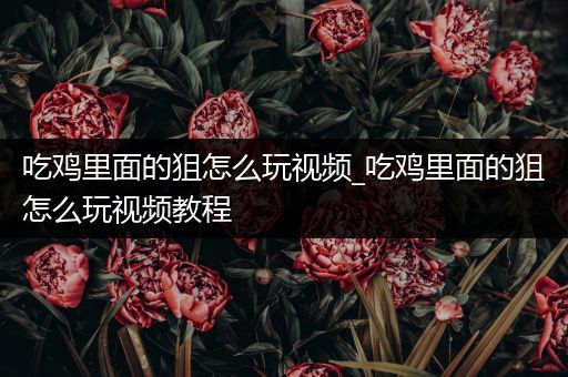 吃鸡里面的狙怎么玩视频_吃鸡里面的狙怎么玩视频教程