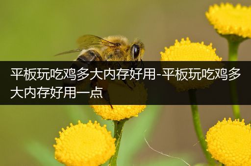 平板玩吃鸡多大内存好用-平板玩吃鸡多大内存好用一点