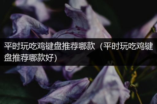 平时玩吃鸡键盘推荐哪款（平时玩吃鸡键盘推荐哪款好）