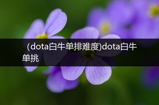 （dota白牛单排难度)dota白牛单挑