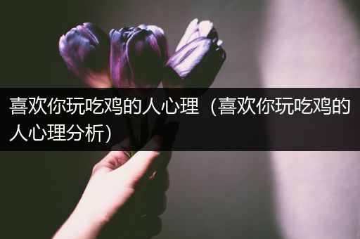 喜欢你玩吃鸡的人心理（喜欢你玩吃鸡的人心理分析）
