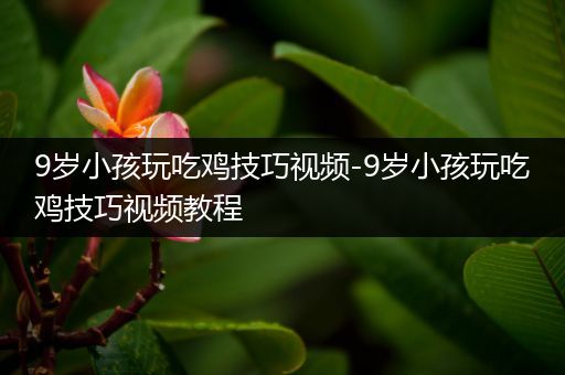 9岁小孩玩吃鸡技巧视频-9岁小孩玩吃鸡技巧视频教程