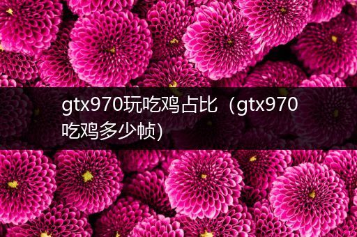 gtx970玩吃鸡占比（gtx970吃鸡多少帧）