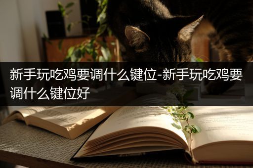 新手玩吃鸡要调什么键位-新手玩吃鸡要调什么键位好