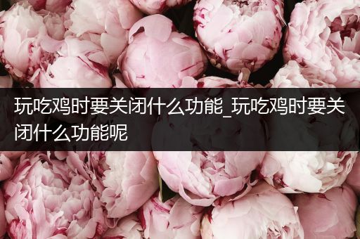 玩吃鸡时要关闭什么功能_玩吃鸡时要关闭什么功能呢