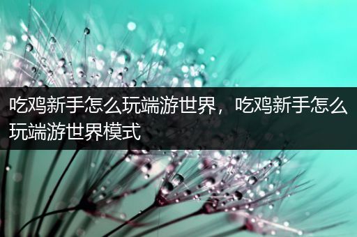 吃鸡新手怎么玩端游世界，吃鸡新手怎么玩端游世界模式