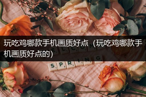 玩吃鸡哪款手机画质好点（玩吃鸡哪款手机画质好点的）