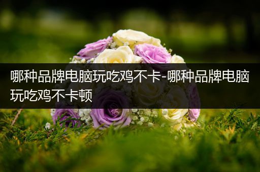 哪种品牌电脑玩吃鸡不卡-哪种品牌电脑玩吃鸡不卡顿