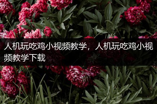 人机玩吃鸡小视频教学，人机玩吃鸡小视频教学下载