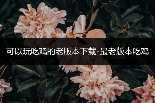 可以玩吃鸡的老版本下载-最老版本吃鸡