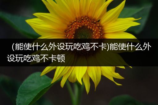 （能使什么外设玩吃鸡不卡)能使什么外设玩吃鸡不卡顿