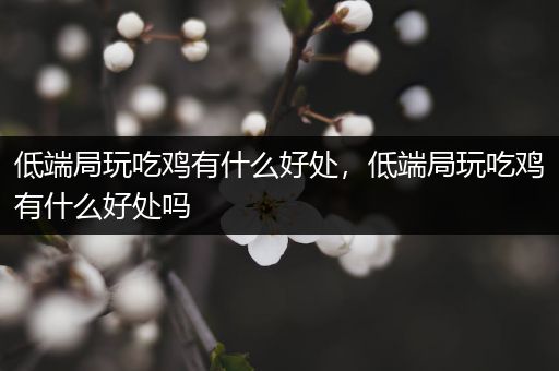 低端局玩吃鸡有什么好处，低端局玩吃鸡有什么好处吗
