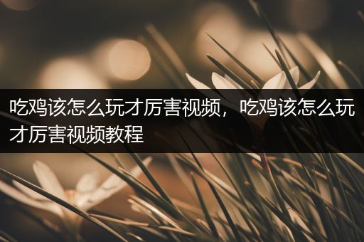 吃鸡该怎么玩才厉害视频，吃鸡该怎么玩才厉害视频教程
