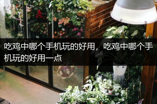 吃鸡中哪个手机玩的好用，吃鸡中哪个手机玩的好用一点