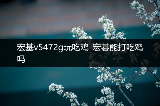 宏基v5472g玩吃鸡_宏碁能打吃鸡吗