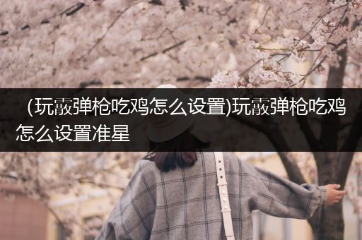 （玩霰弹枪吃鸡怎么设置)玩霰弹枪吃鸡怎么设置准星