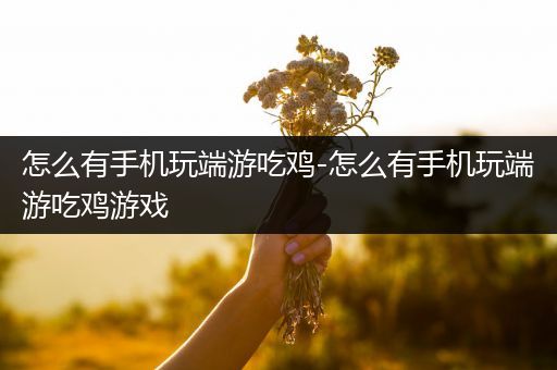怎么有手机玩端游吃鸡-怎么有手机玩端游吃鸡游戏