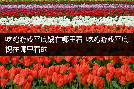 吃鸡游戏平底锅在哪里看-吃鸡游戏平底锅在哪里看的