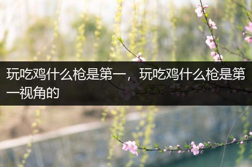 玩吃鸡什么枪是第一，玩吃鸡什么枪是第一视角的