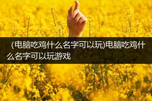 （电脑吃鸡什么名字可以玩)电脑吃鸡什么名字可以玩游戏