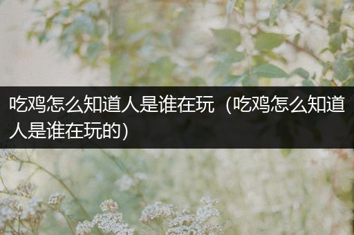 吃鸡怎么知道人是谁在玩（吃鸡怎么知道人是谁在玩的）
