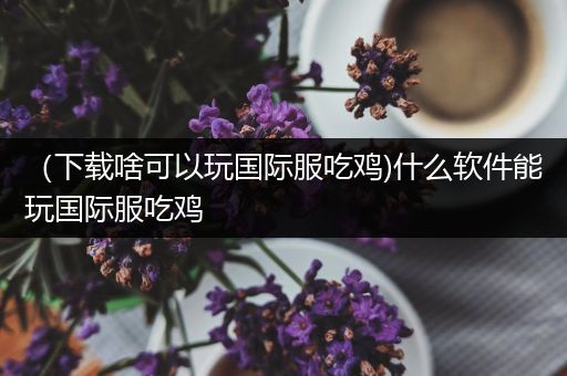 （下载啥可以玩国际服吃鸡)什么软件能玩国际服吃鸡