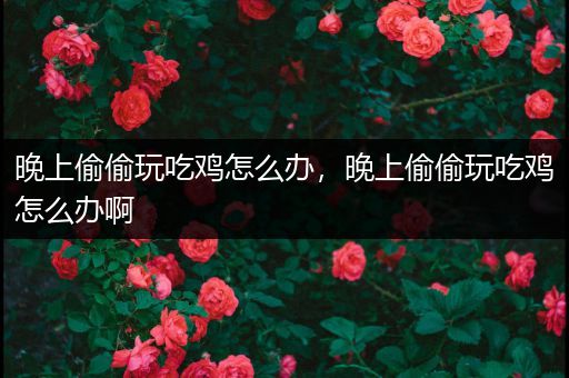 晚上偷偷玩吃鸡怎么办，晚上偷偷玩吃鸡怎么办啊