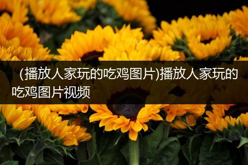 （播放人家玩的吃鸡图片)播放人家玩的吃鸡图片视频