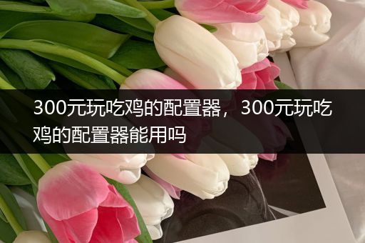 300元玩吃鸡的配置器，300元玩吃鸡的配置器能用吗