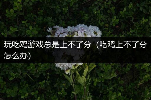 玩吃鸡游戏总是上不了分（吃鸡上不了分怎么办）