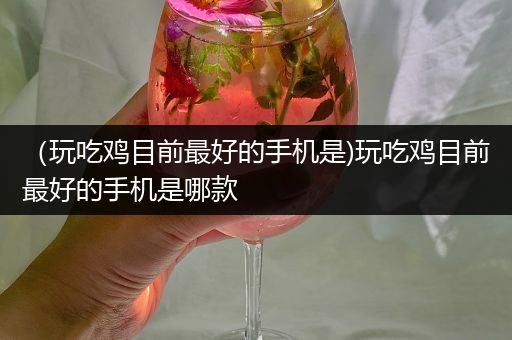 （玩吃鸡目前最好的手机是)玩吃鸡目前最好的手机是哪款