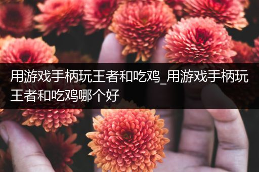 用游戏手柄玩王者和吃鸡_用游戏手柄玩王者和吃鸡哪个好