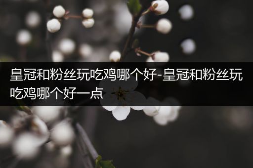 皇冠和粉丝玩吃鸡哪个好-皇冠和粉丝玩吃鸡哪个好一点