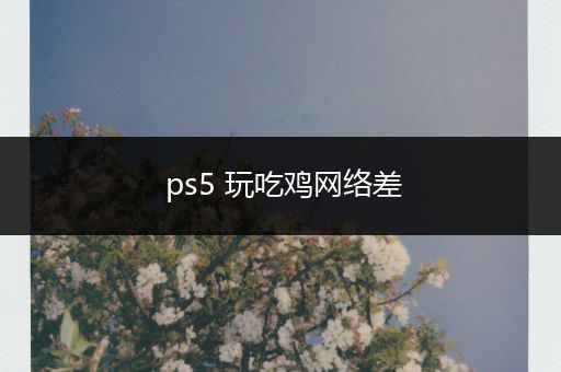 ps5 玩吃鸡网络差