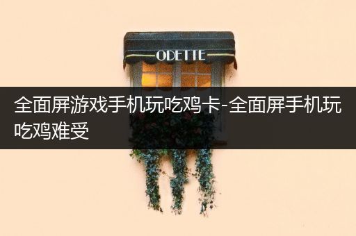 全面屏游戏手机玩吃鸡卡-全面屏手机玩吃鸡难受