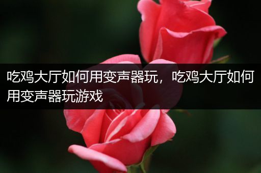 吃鸡大厅如何用变声器玩，吃鸡大厅如何用变声器玩游戏