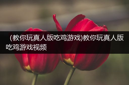 （教你玩真人版吃鸡游戏)教你玩真人版吃鸡游戏视频