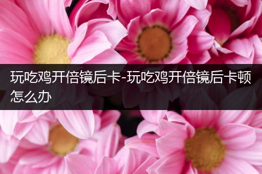 玩吃鸡开倍镜后卡-玩吃鸡开倍镜后卡顿怎么办