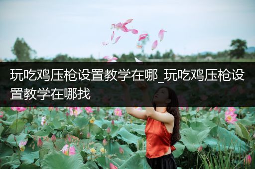 玩吃鸡压枪设置教学在哪_玩吃鸡压枪设置教学在哪找