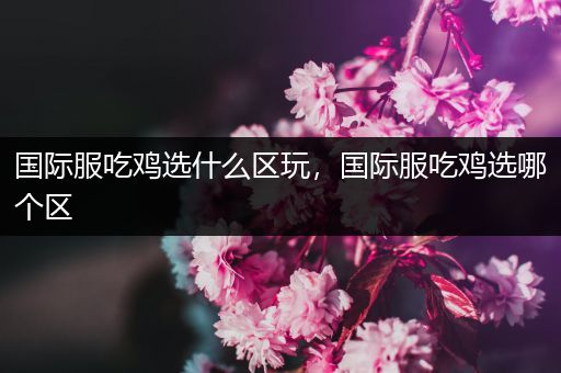 国际服吃鸡选什么区玩，国际服吃鸡选哪个区