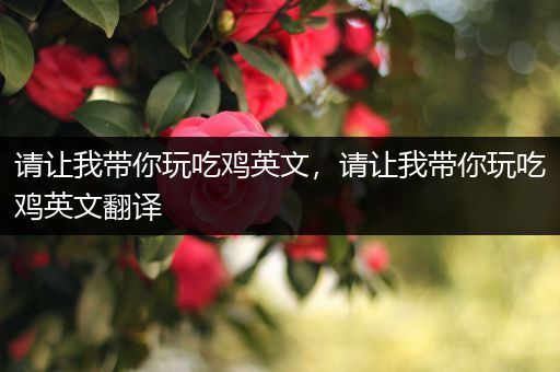 请让我带你玩吃鸡英文，请让我带你玩吃鸡英文翻译