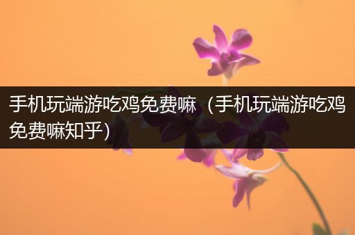 手机玩端游吃鸡免费嘛（手机玩端游吃鸡免费嘛知乎）